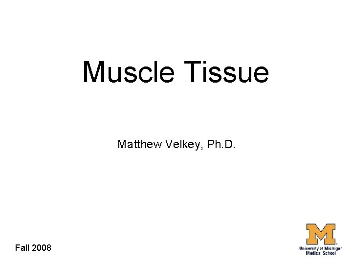 Muscle Tissue Matthew Velkey, Ph. D. Fall 2008 