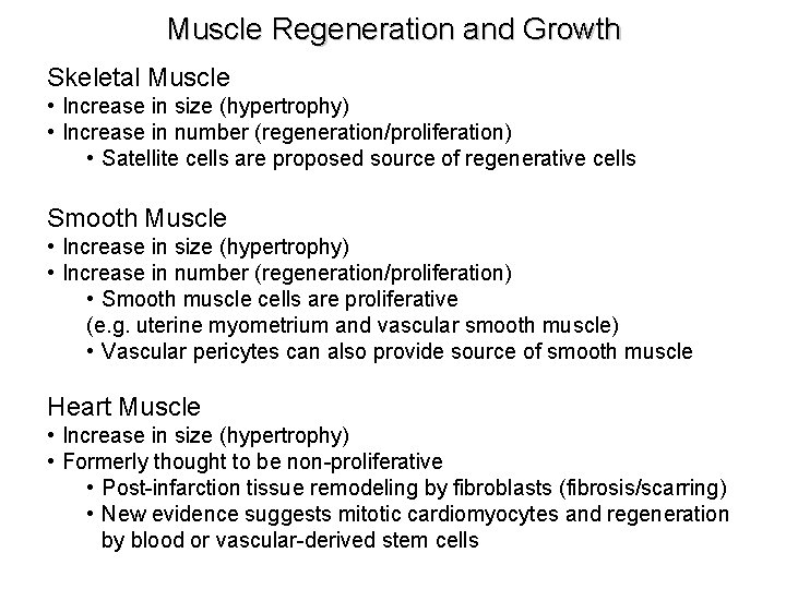 Muscle Regeneration and Growth Skeletal Muscle • Increase in size (hypertrophy) • Increase in Muscle Regeneration and Growth Skeletal Muscle • Increase in size (hypertrophy) • Increase in