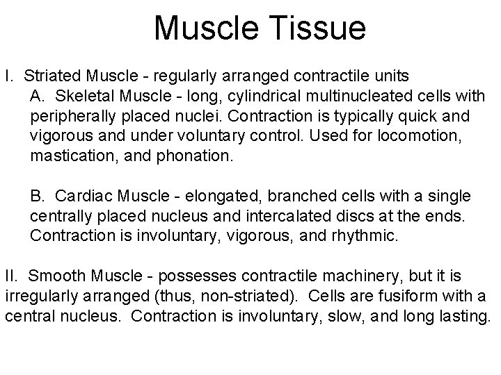 Muscle Tissue I. Striated Muscle - regularly arranged contractile units A. Skeletal Muscle -