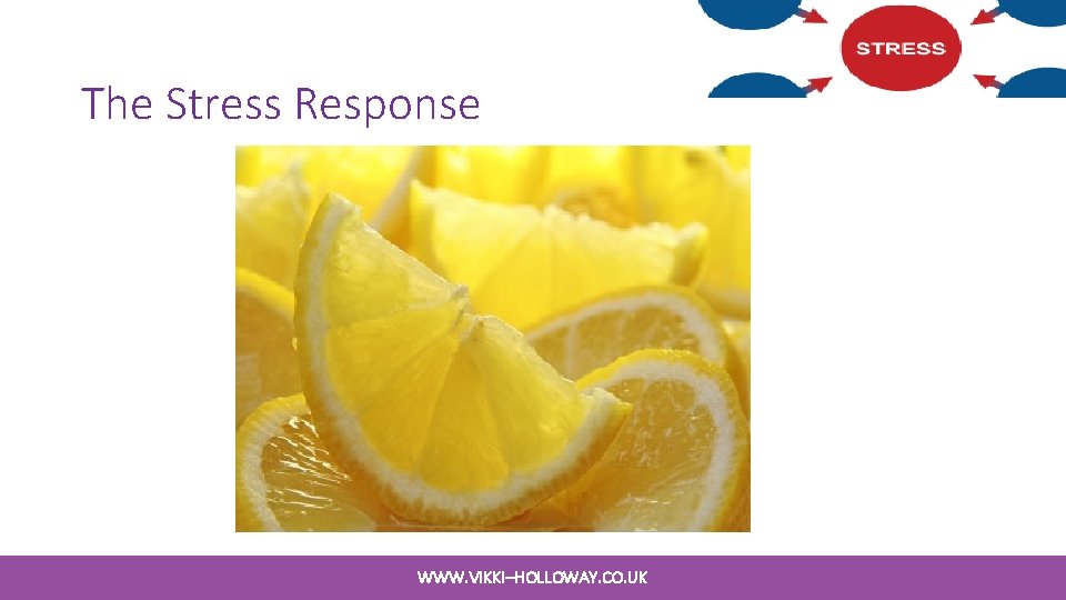 The Stress Response WWW. VIKKI–HOLLOWAY. CO. UK The Stress Response WWW. VIKKI–HOLLOWAY. CO. UK