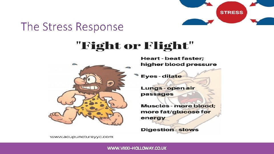 The Stress Response WWW. VIKKI–HOLLOWAY. CO. UK The Stress Response WWW. VIKKI–HOLLOWAY. CO. UK