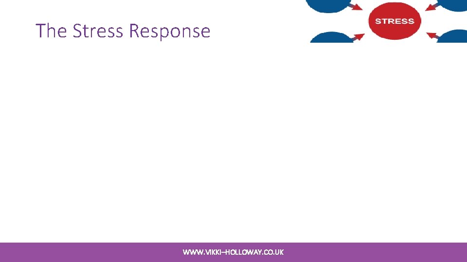 The Stress Response WWW. VIKKI–HOLLOWAY. CO. UK The Stress Response WWW. VIKKI–HOLLOWAY. CO. UK