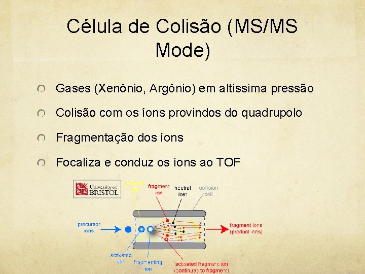 Célula de Colisão (MS/MS Mode) Gases (Xenônio, Argônio) em altíssima pressão Colisão com os
