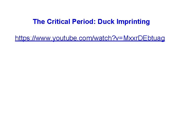The Critical Period: Duck Imprinting https: //www. youtube. com/watch? v=Mxxr. DEbtuag 