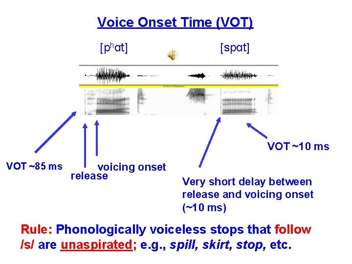 Voice Onset Time (VOT) [phɑt] [spɑt] VOT ~10 ms VOT ~85 ms voicing onset