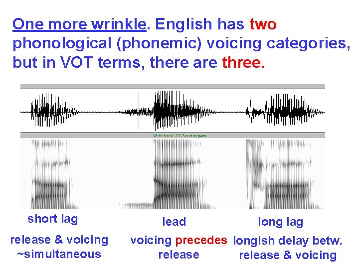 One more wrinkle. English has two phonological (phonemic) voicing categories, but in VOT terms,