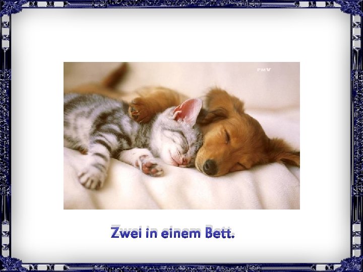 Zwei in einem Bett. Clic pour avancer 