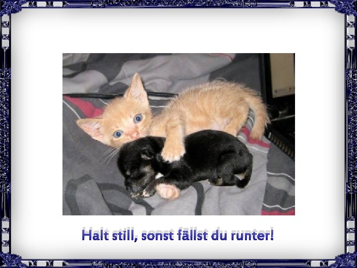 Halt still, sonst fällst du runter! Clic pour avancer 
