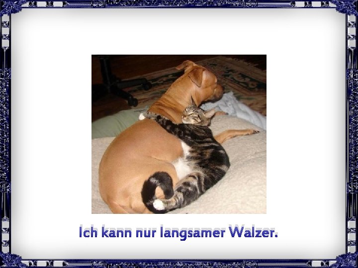 Ich kann nur langsamer Walzer. Clic pour avancer 