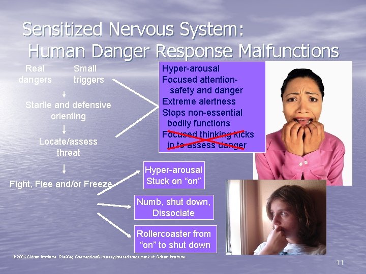 Sensitized Nervous System: Human Danger Response Malfunctions Real dangers Small triggers Startle and defensive