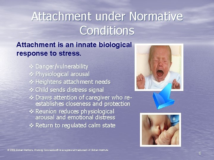 Attachment under Normative Conditions Attachment is an innate biological response to stress. v Danger/vulnerability