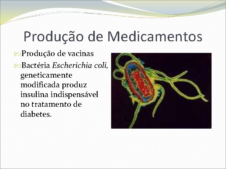 Produção de Medicamentos Produção de vacinas Bactéria Escherichia coli, geneticamente modificada produz insulina indispensável