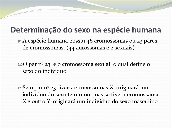 Determinação do sexo na espécie humana A espécie humana possui 46 cromossomas ou 23