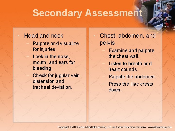Secondary Assessment • Head and neck − Palpate and visualize for injuries. − Look