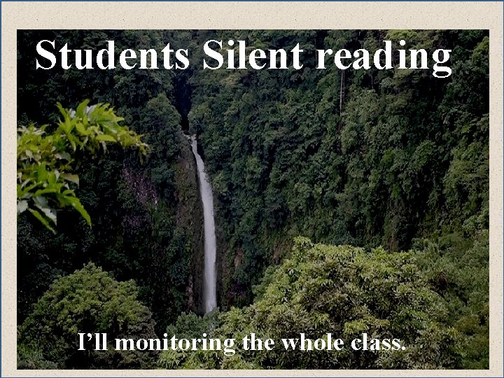Students Silent reading I’ll monitoring the whole class. 