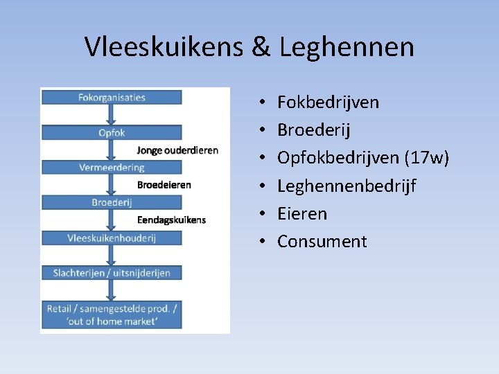 Vleeskuikens & Leghennen • • • Fokbedrijven Broederij Opfokbedrijven (17 w) Leghennenbedrijf Eieren Consument