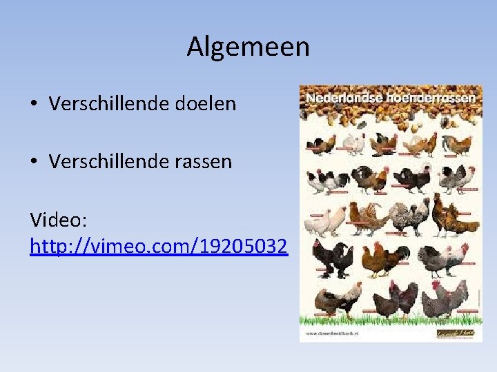 Algemeen • Verschillende doelen • Verschillende rassen Video: http: //vimeo. com/19205032 