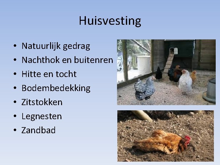 Huisvesting • • Natuurlijk gedrag Nachthok en buitenren Hitte en tocht Bodembedekking Zitstokken Legnesten