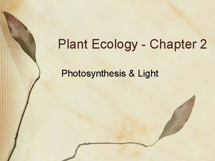 Plant Ecology - Chapter 2 Photosynthesis & Light 