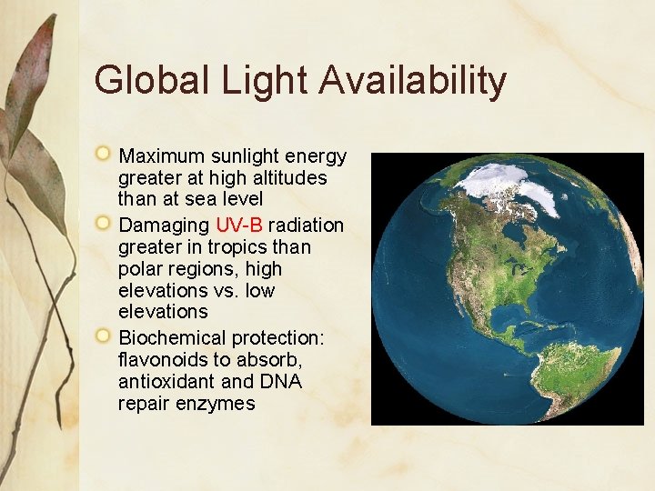 Global Light Availability Maximum sunlight energy greater at high altitudes than at sea level