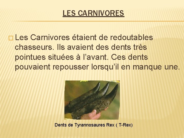 LES CARNIVORES � Les Carnivores étaient de redoutables chasseurs. Ils avaient des dents très