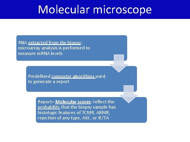 Molecular microscope RNA extracted from the biopsy: microarray analysis is performed to measure m.
