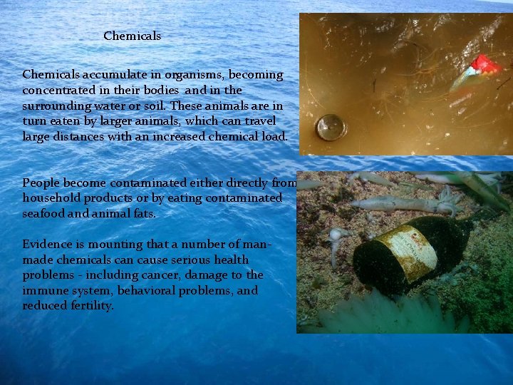 Chemicals accumulate in organisms, becoming concentrated in their bodies and in the surrounding water