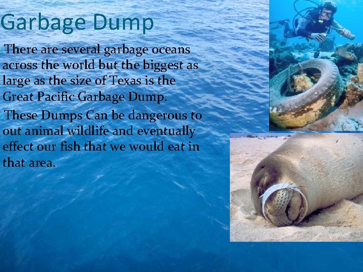 Garbage Dump There are several garbage oceans across the world but the biggest as