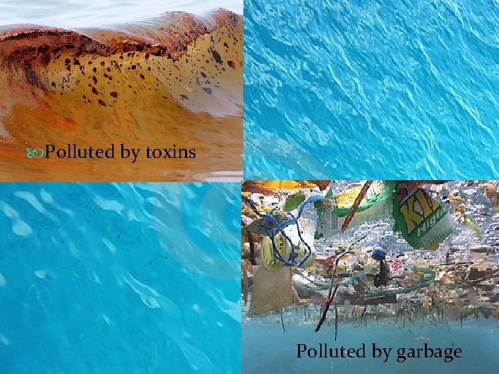  Polluted by toxins Polluted by garbage 