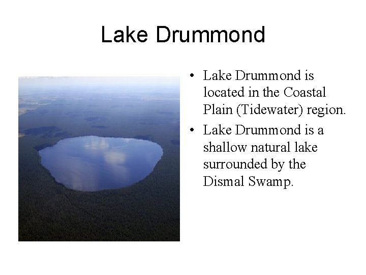 Lake Drummond • Lake Drummond is located in the Coastal Plain (Tidewater) region. •