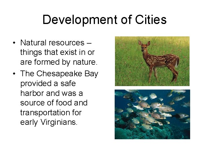 Development of Cities • Natural resources – things that exist in or are formed