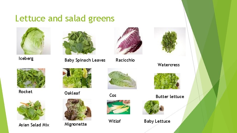 Lettuce and salad greens Iceberg Baby Spinach Leaves Rocket Oakleaf Asian Salad Mix Mignonette