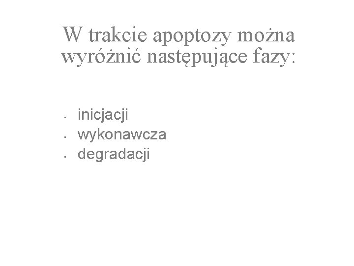 W trakcie apoptozy można wyróżnić następujące fazy: • • • inicjacji wykonawcza degradacji 