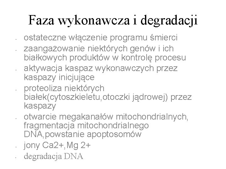 Faza wykonawcza i degradacji • • ostateczne włączenie programu śmierci zaangażowanie niektórych genów i