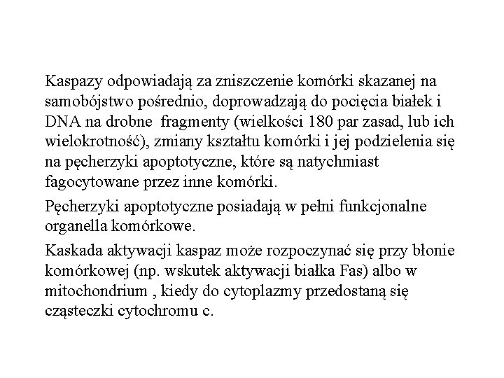 Kaspazy odpowiadają za zniszczenie komórki skazanej na samobójstwo pośrednio, doprowadzają do pocięcia białek i