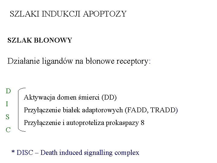 SZLAKI INDUKCJI APOPTOZY SZLAK BŁONOWY Działanie ligandów na błonowe receptory: D I S C SZLAKI INDUKCJI APOPTOZY SZLAK BŁONOWY Działanie ligandów na błonowe receptory: D I S C
