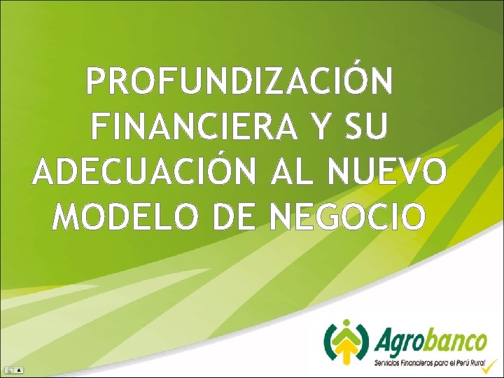 PROFUNDIZACIÓN FINANCIERA Y SU ADECUACIÓN AL NUEVO MODELO DE NEGOCIO 