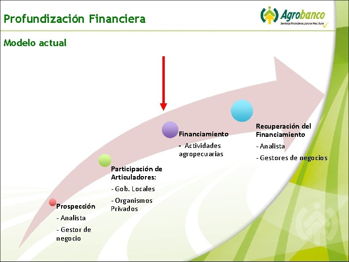Profundización Financiera Modelo actual Financiamiento - Actividades agropecuarias Participación de Articuladores: Prospección - Analista