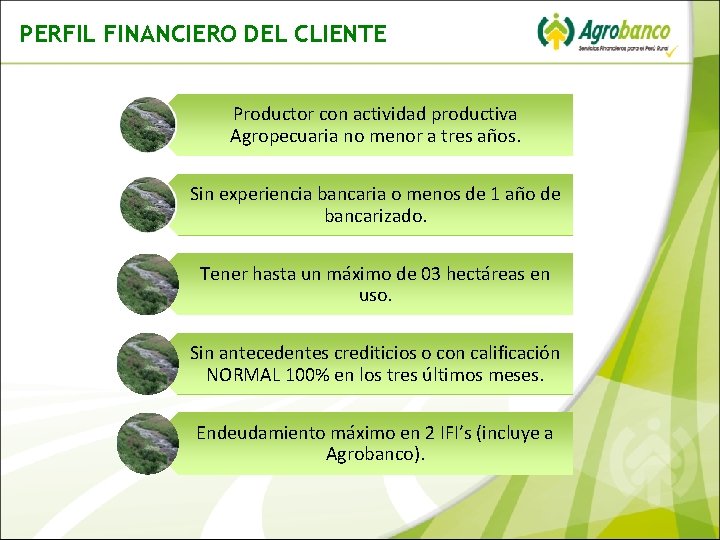 PERFIL FINANCIERO DEL CLIENTE Productor con actividad productiva Agropecuaria no menor a tres años.