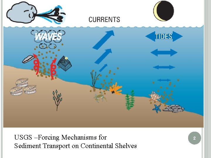 USGS –Forcing Mechanisms for Sediment Transport on Continental Shelves 2 