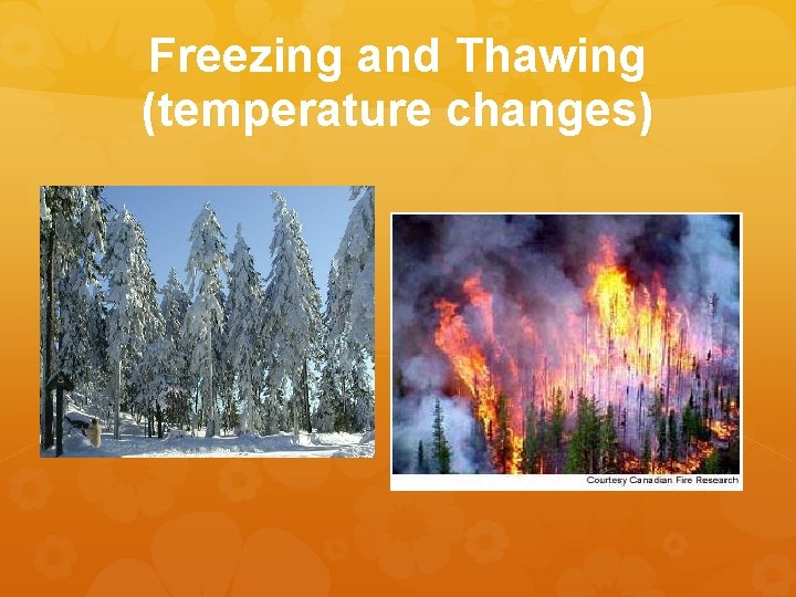 Freezing and Thawing (temperature changes) 