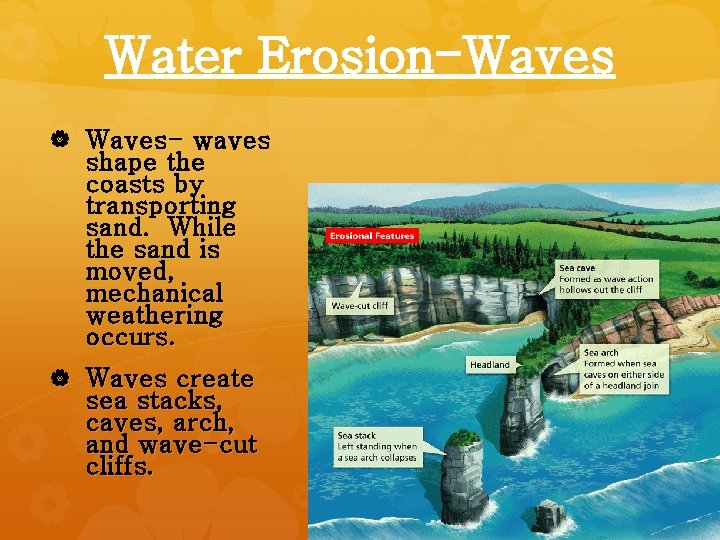 Water Erosion-Waves Waves- waves shape the coasts by transporting sand. While the sand is