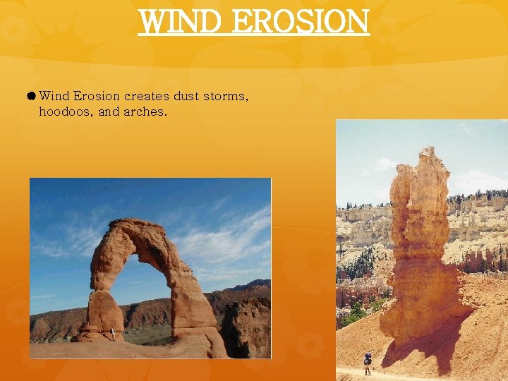 WIND EROSION Wind Erosion creates dust storms, hoodoos, and arches. 