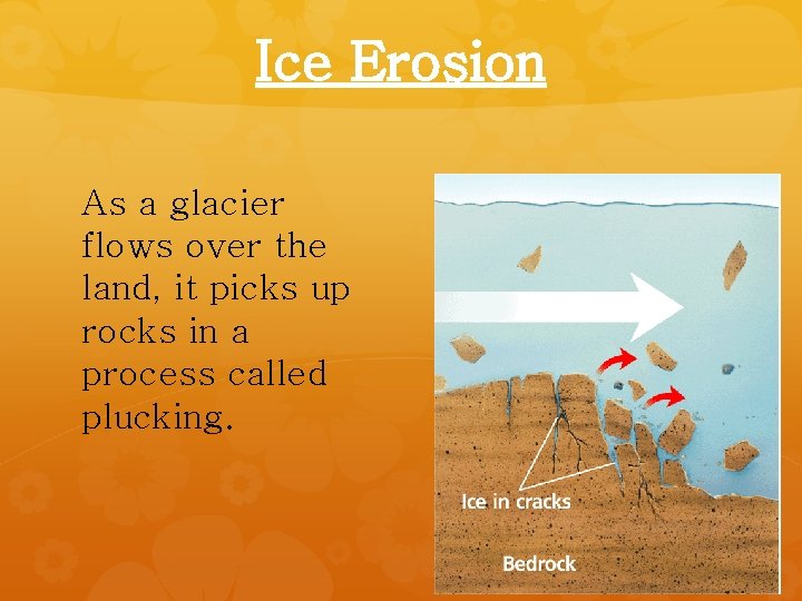 Ice Erosion As a glacier flows over the land, it picks up rocks in