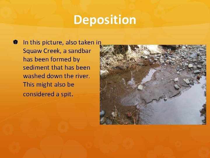 Deposition In this picture, also taken in Squaw Creek, a sandbar has been formed