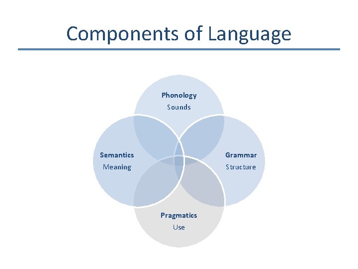 Components of Language Phonology Sounds Semantics Meaning Grammar Structure Pragmatics Use 