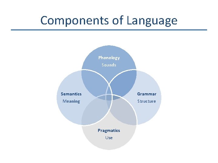 Components of Language Phonology Sounds Semantics Meaning Grammar Structure Pragmatics Use 