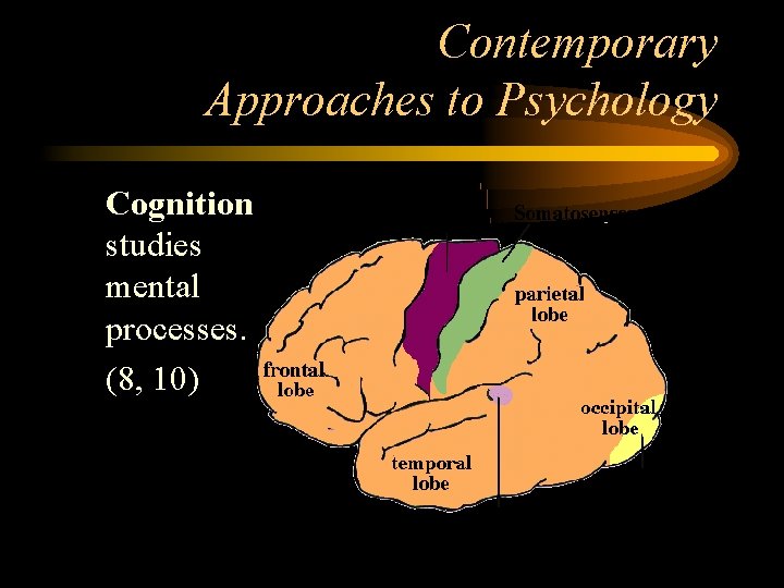 Contemporary Approaches to Psychology • Cognition studies mental processes. • (8, 10) 