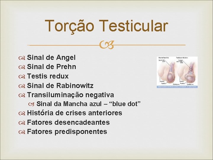 Torção Testicular Sinal de Angel Sinal de Prehn Testis redux Sinal de Rabinowitz Transiluminação
