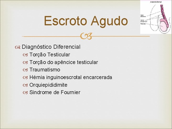 Escroto Agudo Diagnóstico Diferencial Torção Testicular Torção do apêncice testicular Traumatismo Hérnia inguinoescrotal encarcerada